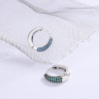 Oval hoop Earrings